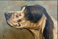Fine Early C20th Edwardian Oil on Panel Portrait of an English Setter