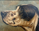 Fine Early C20th Edwardian Oil on Panel Portrait of an English Setter Sold