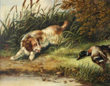 Superb Mid C19th Victorian Oil on Canvas - Spaniel Fetching a Mallard - attrib George Armfield (1808-1893)