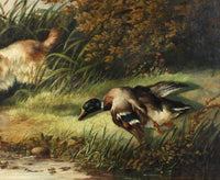 Superb Mid C19th Victorian Oil on Canvas - Spaniel Fetching a Mallard - attrib George Armfield (1808-1893)