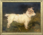 Exquisite Early C20th Edwardian Oil on Board portrait study of a Long Haired Terrier SOLD