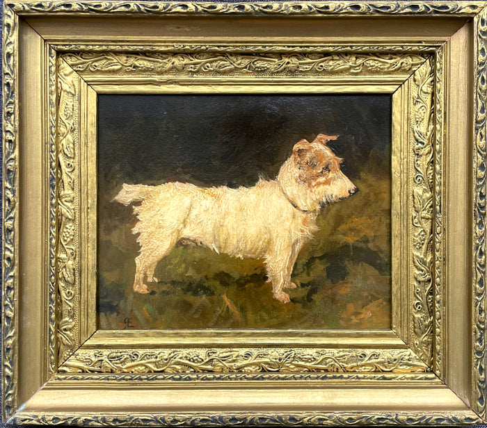 Exquisite Early C20th Edwardian Oil on Board portrait study of a Long Haired Terrier SOLD