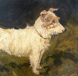 Exquisite Early C20th Edwardian Oil on Board portrait study of a Long Haired Terrier