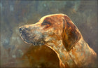 Superb Vintage C20th Oil on Board Study of a Hound - Jameson SOLD