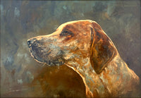 Superb Vintage C20th Oil on Board Study of a Hound - Jameson SOLD