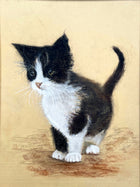Delightful Vintage Mid C20th Pastel & Watercolour Portrait of a Kitten - Mabel Gear SOLD