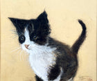 Delightful Vintage Mid C20th Pastel & Watercolour Portrait of a Kitten - Mabel Gear SOLD
