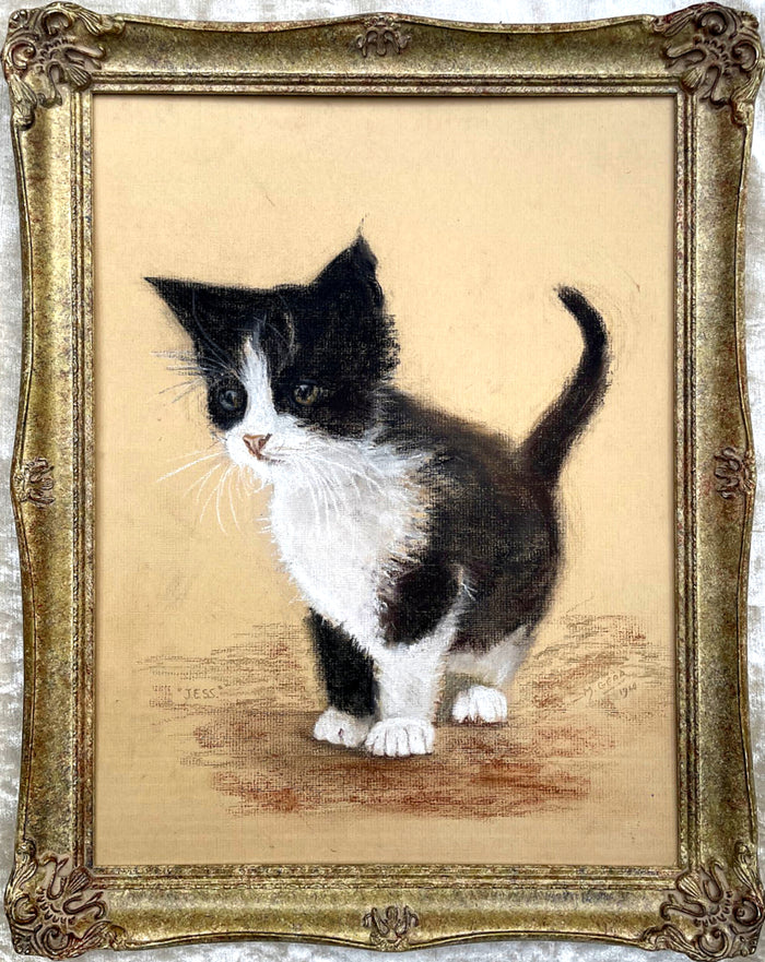 Delightful Vintage Mid C20th Pastel & Watercolour Portrait of a Kitten - Mabel Gear SOLD