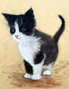 Delightful Vintage Mid C20th Pastel & Watercolour Portrait of a Kitten - Mabel Gear SOLD