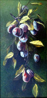 Fine C19th Victorian Still Life Oil on Canvas - Plums on a Branch