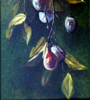Fine C19th Victorian Still Life Oil on Canvas - Plums on a Branch