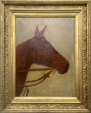 Fine Late C19th Victorian Oil on Canvas Portrait of a Bay Horse SOLD