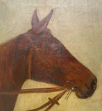 Fine Late C19th Victorian Oil on Canvas Portrait of a Bay Horse SOLD