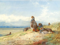 Fine Oleograph on Canvas of a Red Partridges in an extensive Landscape