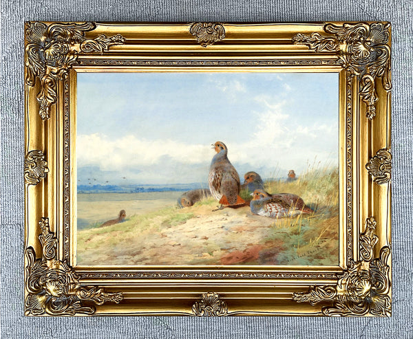 Fine Oleograph on Canvas of a Red Partridges in an extensive Landscape