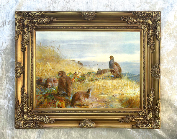 Fine Large Oleograph on Canvas of a Partridges in an extensive Landscape