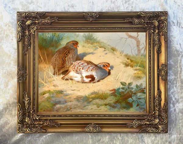 Fine Lithograph on Canvas - Partridges on a Sandy Bank aft. Thorburn