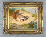 Fine Lithograph on Canvas - Partridges on a Sandy Bank aft. Thorburn