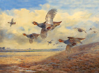 Partridges  in Flight - Fine Lithograph on Canvas after Archibald Thorburn