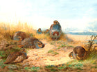 Fine Large Oleograph on Canvas of a Partridges in a Moorland Landscape