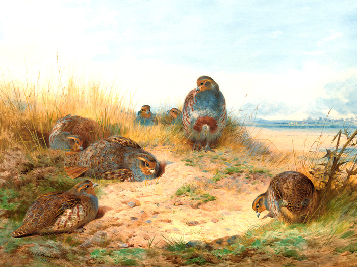 Fine Large Oleograph on Canvas of a Partridges in a Moorland Landscape