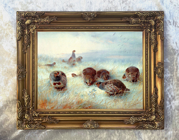 Beautiful Lithograph on Canvas of a Partridges in a Covey aft. Archibald Thorburn