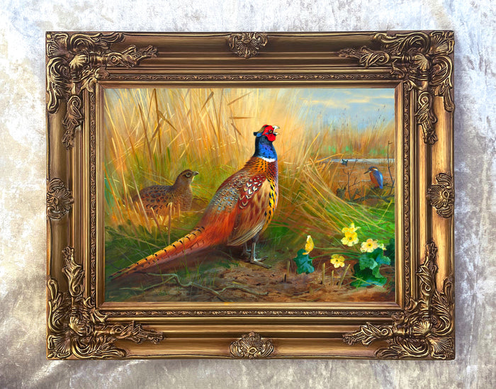 Pheasants in a Corn Field- Fine Lithograph on Canvas after Thorburn