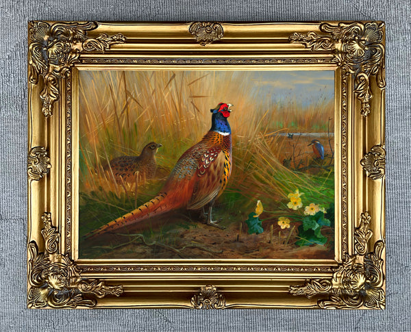 Pheasants in a Corn Field- Fine Lithograph on Canvas after Thorburn