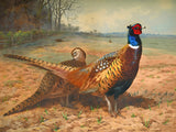 Fine Lithograph on Canvas - Cock and Hen Pheasants in a Landscape