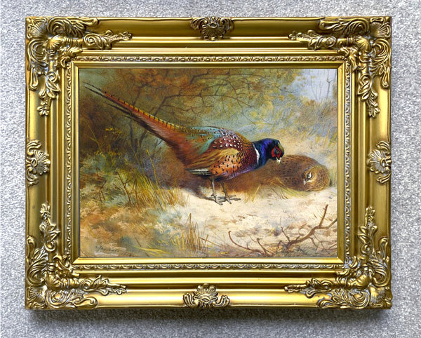 Fine Lithograph on Canvas - A Cock & Hen Pheasant in Woodland  aft.Thorburn