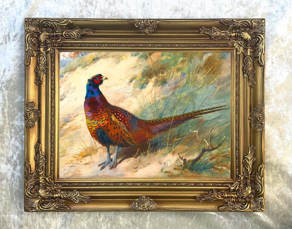 Cock Pheasant in a Copse  - Fine Oleograph on Canvas after Thorburn