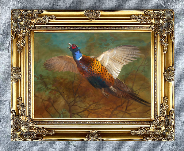 Cock Pheasant in Flight - Fine Lithograph on Canvas aft. Thorburn