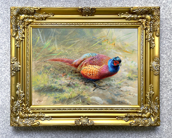 Fine Lithograph on Canvas - A Cock Pheasant in a Copse aft. George Lodge