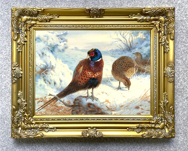 "Cock Pheasant & Hens in a Wintry Copse" Fine Oleograph on Canvas after Thorburn