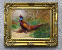 "Pheasant in Woodland" Fine Oleograph on Canvas after Thorburn