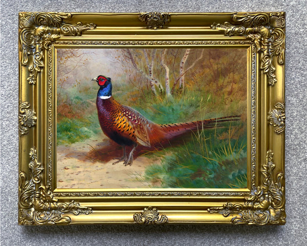 "Pheasant in Woodland" Fine Oleograph on Canvas after Thorburn