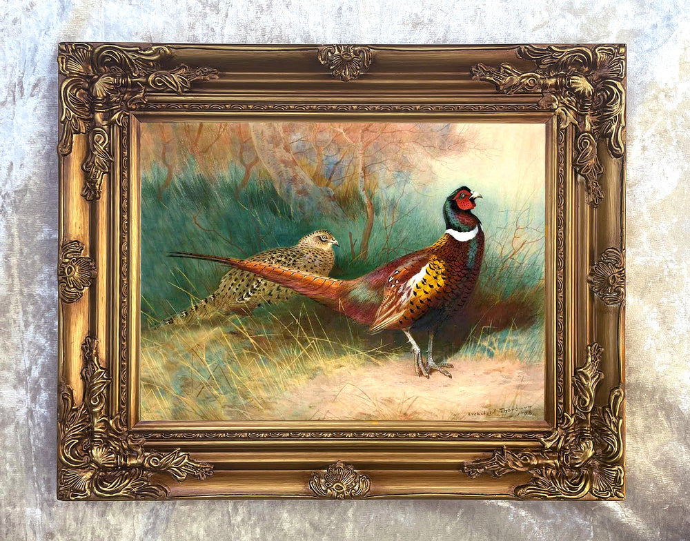 Fine Lithograph on Canvas - A Cock & Hen Pheasant aft. Thorburn