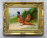 Fine Lithograph on Canvas - A Cock & Hen Pheasant in a Woodland Copse aft.Thorburn