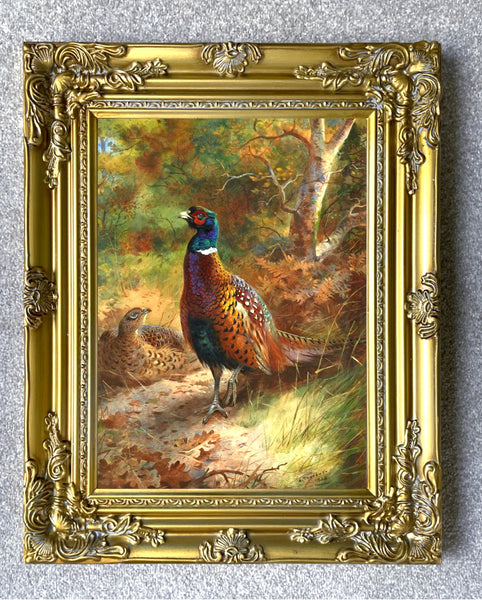 "Pheasant in Woodland" Fine Oleograph on Canvas after Thorburn