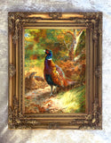"Pheasant in Woodland" Fine Oleograph on Canvas after Thorburn