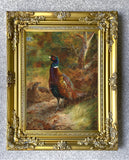 "Pheasant in Woodland" Fine Oleograph on Canvas after Thorburn