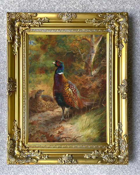 "Pheasant in Woodland" Fine Oleograph on Canvas after Thorburn