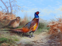 Fine Lithograph on Canvas - Cock Pheasant & Hen in Woodland