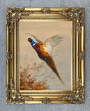 Fine Lithograph on Canvas - Cock Pheasant in Flight aft. Thorburn