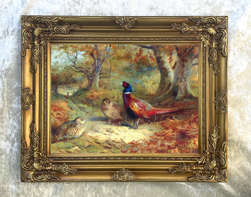 Fine Oleograph on Canvas - A Cock Pheasant & Hens in a Landscape
