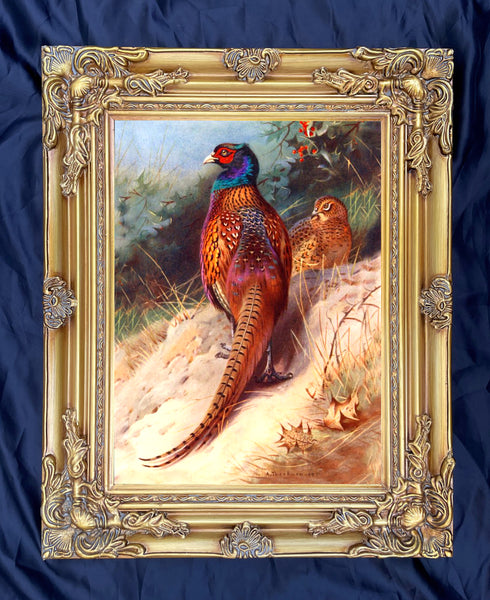 "Pheasant on a Sandy Bank" Fine Oleograph on Canvas after Thorburn