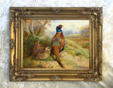 Cock  & Hen Pheasant in a Copse  - Fine Oleograph on Canvas after Thorburn