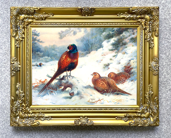 Pheasants in Wintry Woodland - Fine Lithograph on Canvas aft. Thorburn