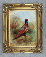 A Cock Pheasant in a Copse- Fine Lithograph on Canvas after Thorburn