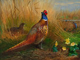 Pheasants in a Corn Field- Fine Lithograph on Canvas after Thorburn